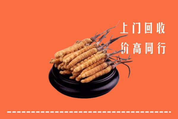 高价求购：东营市利津回收散虫草