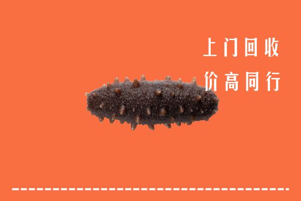 高价求购：东营市利津回收海参