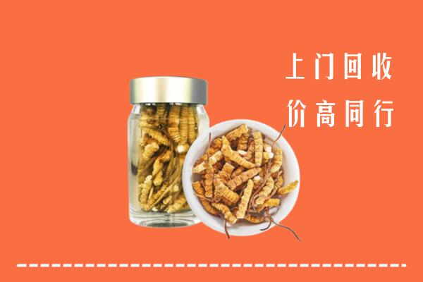 东营市利津回收冬虫夏草