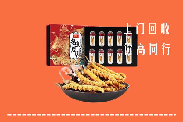 东营市利津回收虫草